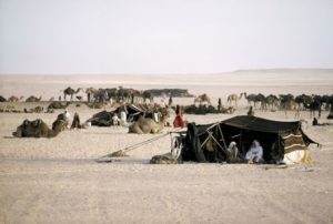 Bedouins still enjoy nomadic lifestyle