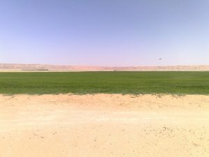 Agricultural field in desert: Arabia