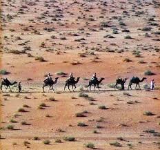 Caravan en route in desert