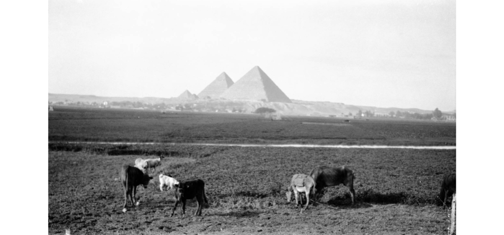 The site of Fustat was near Pyramids of Gaza.