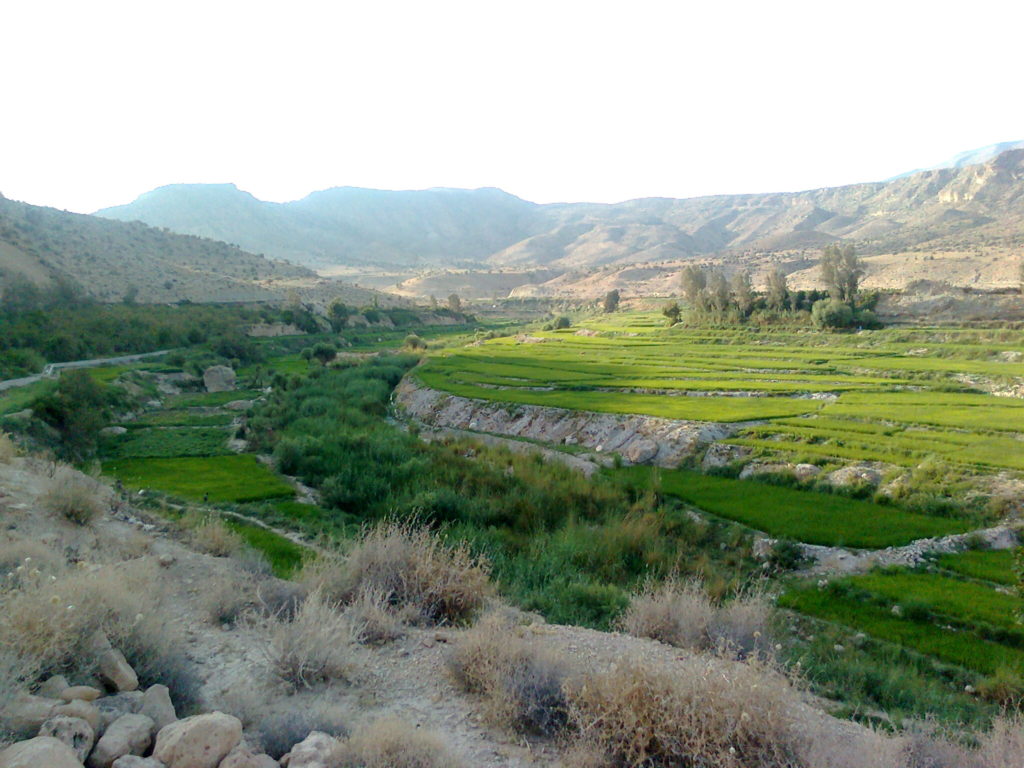 Fars is an agricultural capital.